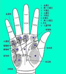 郑博士教你掐指一算 相学：郑博士教你看手相 