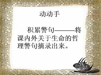 生命只有一次 英文 唯美英文句子：生命只有一次，我们要以正确的方式，和正确的人一起度过。...。...。