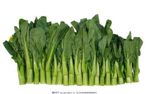 面条是碱性食物吗 菜心是碱性食物吗？