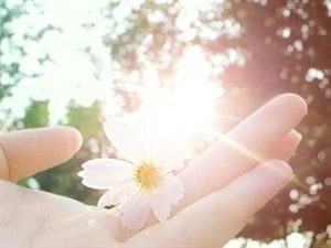 人生感言经典句子 人生感言：背不动的，要放下；伤不起的，要看淡；想不通的，可以不想；恨不过的，要抚平。