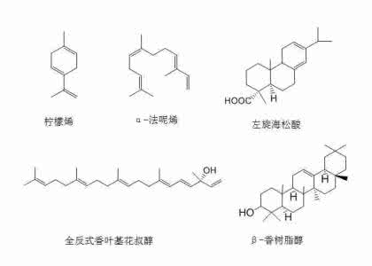 类萜名词解释 类萜