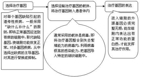 多基因遗传病的特点 遗传病的特点有哪些_遗传病4大特点