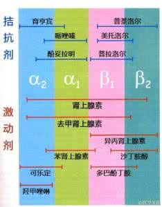 肾上腺素能受体 肾上腺素能受体 肾上腺素能受体 这个受体的分类有哪些