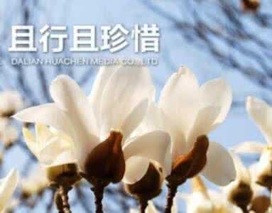 且行且珍惜的前一句 且行且珍惜的收益率