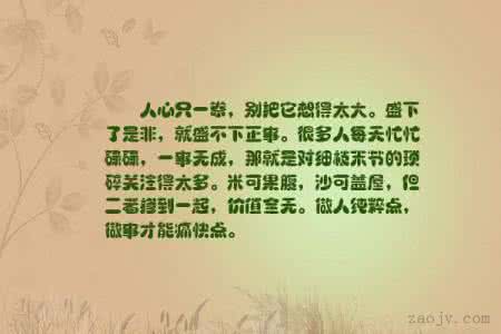 描写太极拳的七言诗词 【七言】人心只一拳，别把它想得太大