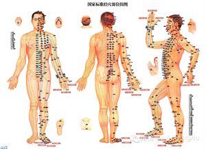 经络速记口诀 十四经络速记口诀 配动画图-专业，附国家标准经穴部位挂图、子午流注图