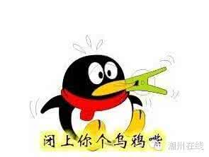 为什么乌鸦嘴特别灵 为什么我们说乌鸦嘴特别灵 竟是因为这个