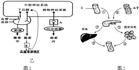 男性调节内分泌的方法 如何调节内分泌 调节内分泌的方法