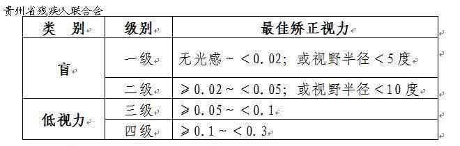 视力残疾分级 视力残疾的分级