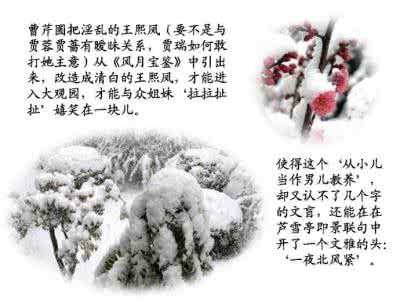 红楼梦精彩片段 红楼梦（十九）一条精彩的缝线