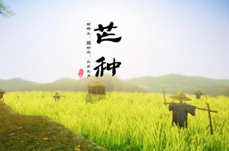 2017年芒种是几月几日 2015年芒种是几月几日 芒种是几月几日