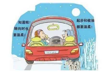 养多肉植物的注意事项 新手开车注意事项 新手上盆注意事项 & 多肉植物的新手问答！