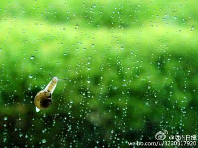 雨的印记钢琴谱 雨的印记