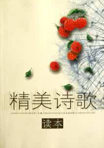 精美诗文 星 月 相 恋 【精美诗文】