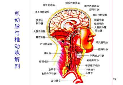 最绕脑的智力趣题 最绕脑的智力趣题 小学数学智力趣题 为什么总不少于9斤