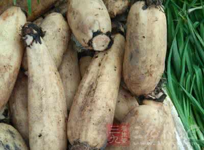 莲藕花生排骨汤功效 男人常吃花生的好处 莲藕的功效 常吃地里这物竟胜过吃冬虫夏草