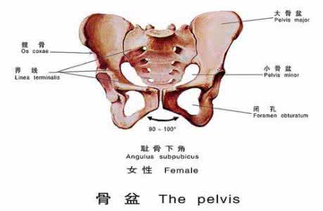 女人我最大拯救骨盆 自检你的骨盆变形了吗以及拯救