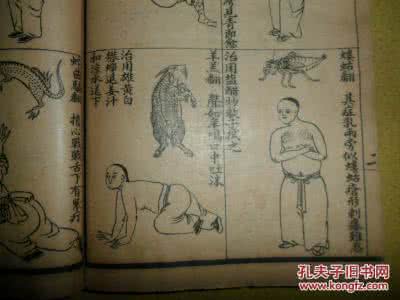 《绘图针灸易学》