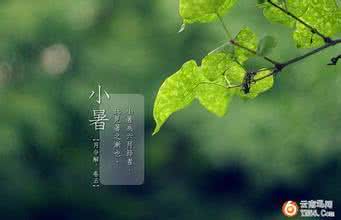 端午节短信祝福语大全 7.7小暑短信祝福语