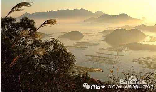 如意蛋 大风刮过 小说 大风天垂钓的小技巧