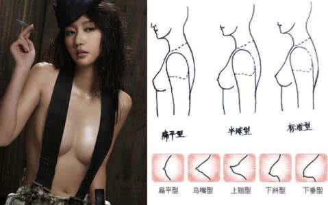 罩杯大小示意图 人命好不好看罩杯大小 准哭了