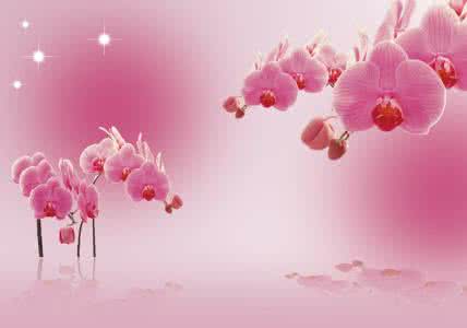 钩针蝴蝶兰视频教程 钩针餐巾“蝴蝶兰”----精美的花边