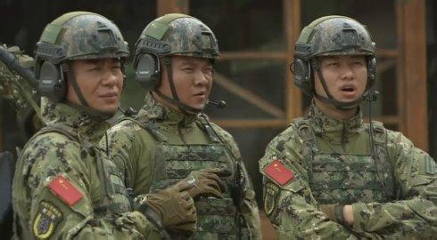 特种兵之火凤凰演员表 《特种兵之火凤凰》：《特种兵之火凤凰》-剧情简介，《特种兵之火凤凰》-演员表 火凤凰蜂鸟