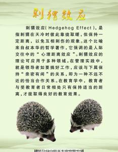 刺猬效应 《刺猬效应——打造高绩效团队的秘诀》（摘要） 刺猬效应是什么意思
