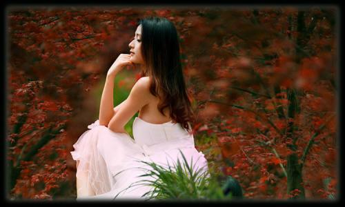 一吻定情同人花开一世 花开一时，情芳一世