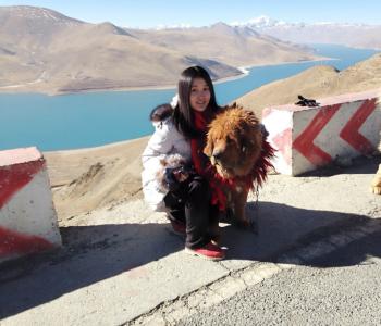 国内旅游攻略 国内旅游攻略全集（134册）