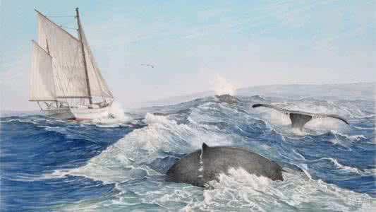 百慕大三角 10段在百慕大三角有去无回的不幸旅程