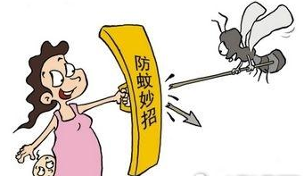 被蚊子咬了怎么止痒 在这里找到答案作文 为什么蚊子爱咬你，不咬别人呢？答案在这里