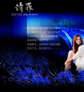 精美flash音画欣赏 相册视频：天津夜景【精美音画】