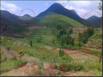 搞笑图片集 峦头 图片集