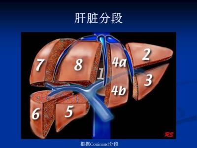 肝脏影像检查多少钱 肝脏影像检查方法及正常影像解剖