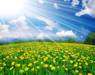 阳光心态健康生活 面对生活－－用阳光心态