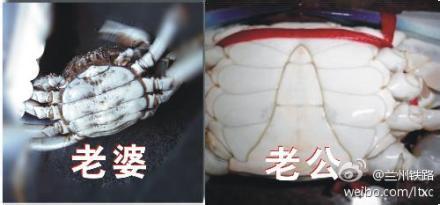 如何挑选梭子蟹 如何挑选螃蟹
