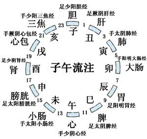 人体生物钟规律 科学养生 顺应人体内部规律生物钟养生法