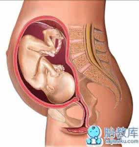 有怀孕生产细节的小说 【10个怀孕小细节，妈妈要知道】