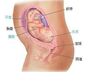 湿气重会外阴痒 【外阴湿痒】外阴湿痒_外阴湿痒