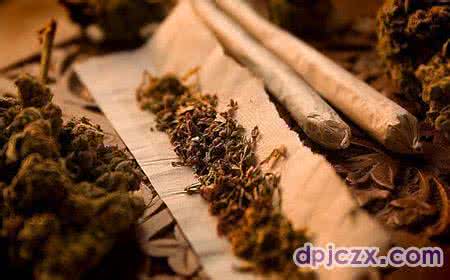 在中国大麻是毒品吗 大麻是毒品吗 大麻,在中国绝对是毒品!千万别沾上它!
