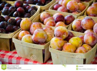 李子和桃子能一起吃吗 李子和桃子能一起吃吗 李子不能和什么一起吃?