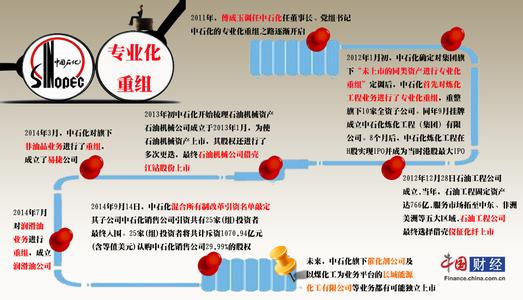 中石化发展战略 中石化五大发展战略 中石化发展战略论文