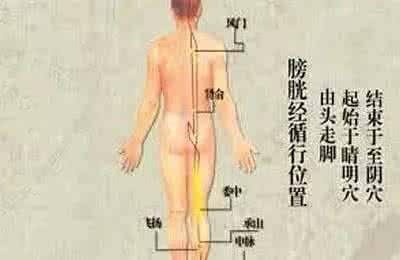 人体六大排毒通道 背部有人体最大的排毒通道(附方法)