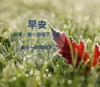 早安心语 早安心语：成功只有一种，按自己的意思过一生