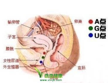阴道振动器 超强刺激 用手指刺激阴道到性高潮的技巧
