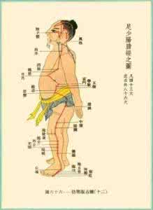 身体淤堵 道医学堂 || 困扰你的堵和淤,怎样通过经络按摩获得健康?