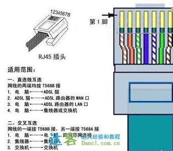 足底反射区 标准足底反射区实际操作顺序三十六法（二十）：斜方肌