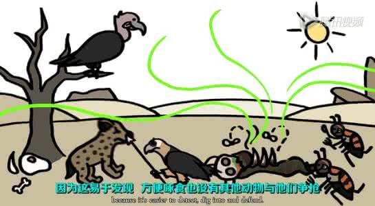 女博士张白生病前图片 一张图告诉你冬天不生病的15个秘诀