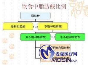 饱和脂肪酸 碳水化合物或比饱和脂肪酸更有害健康